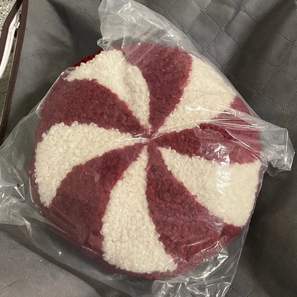 Pottery Barn cozy Teddy peppermint pillow, nwt